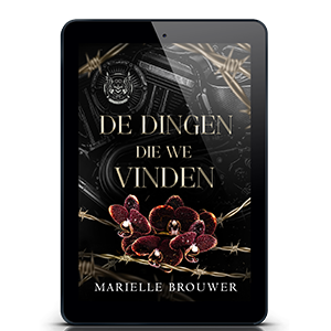 De dingen die we vinden ebook
